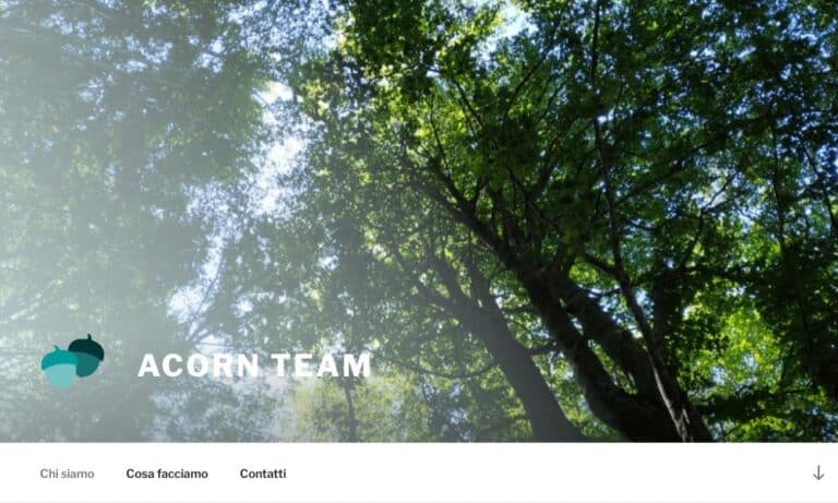 ACORN TEAM - Startupeasy