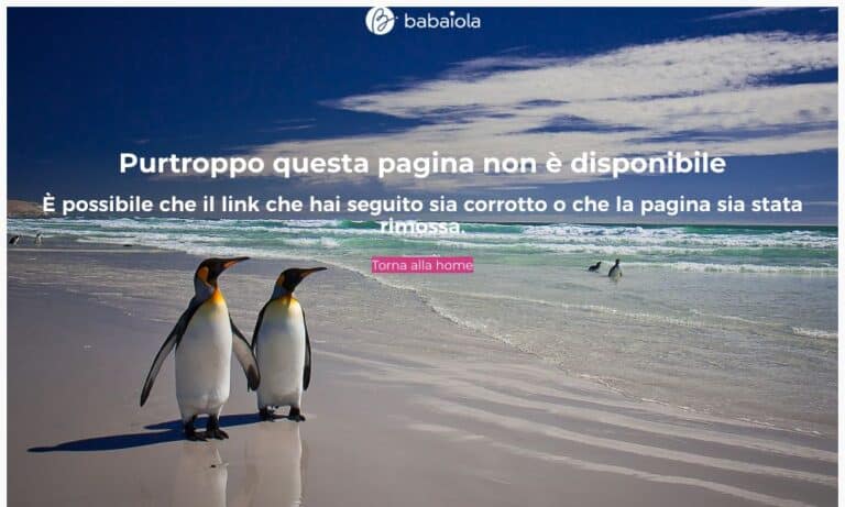 BABAIOLA - Startupeasy