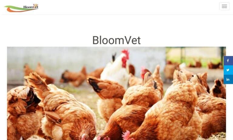 BLOOMVET - Startupeasy