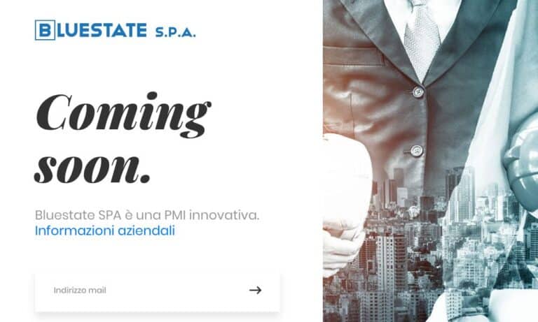 BLUESTATE - Startupeasy