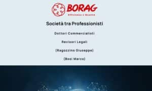 BORAG SOCIETA' TRA PROFESSIONISTI - Startupeasy