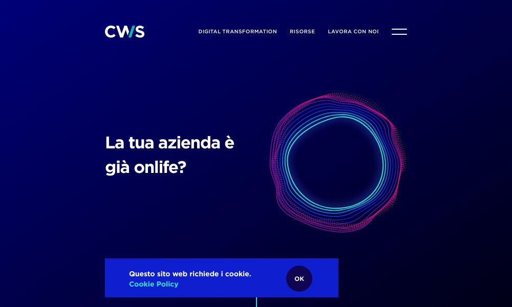 CWS - Startupeasy
