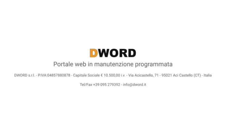 DWORD - Startupeasy