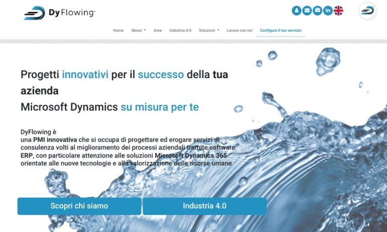 DYFLOWING - Startupeasy
