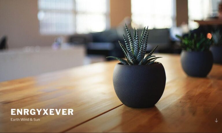 ENERGYXEVER - Startupeasy