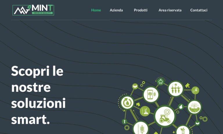 MINT - Startupeasy