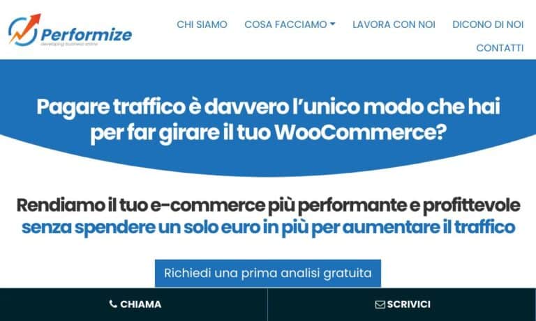 PERFORMIZE - Startupeasy