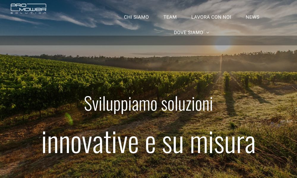 PRO MOWER SOLUTIONS - Startupeasy