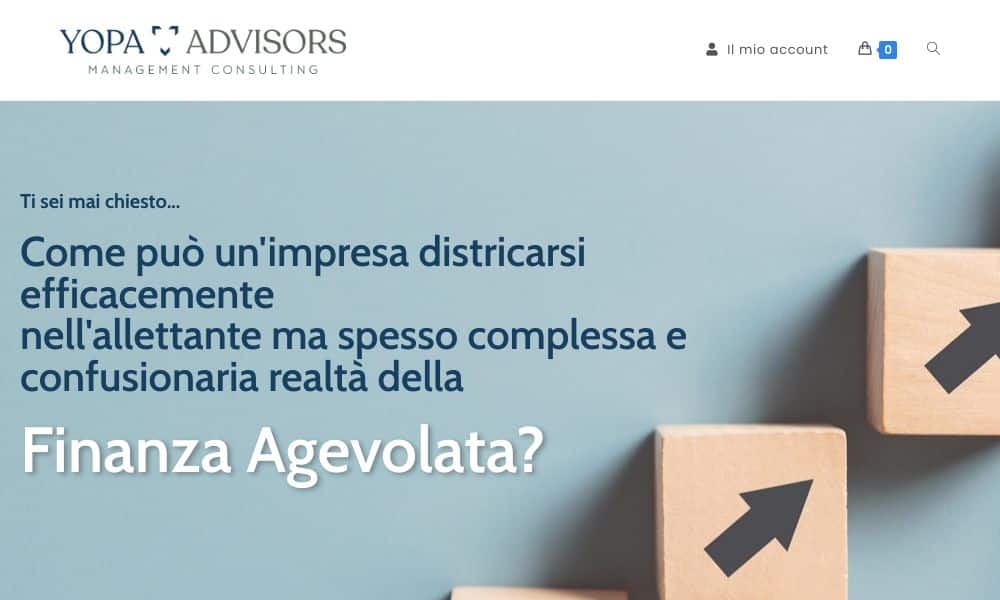 - Startupeasy