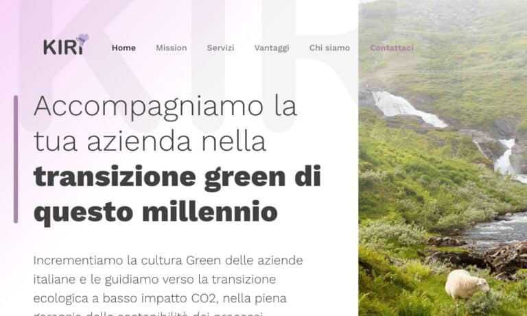 - Startupeasy