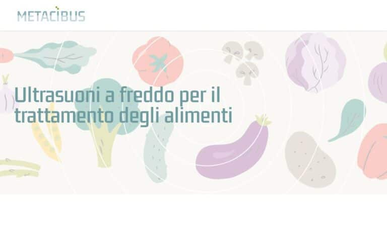 - Startupeasy