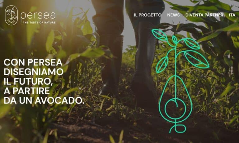 - Startupeasy