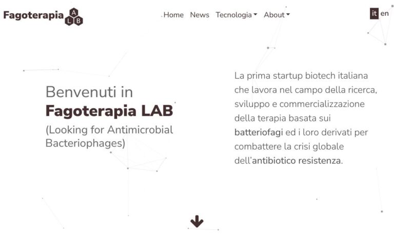 - Startupeasy