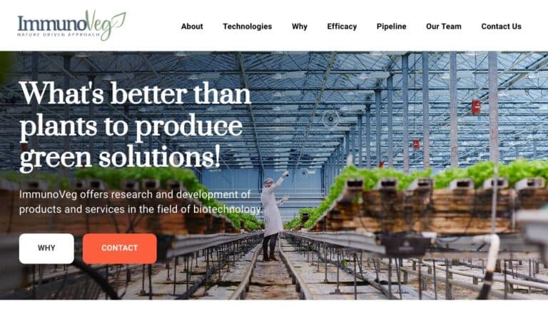 - Startupeasy