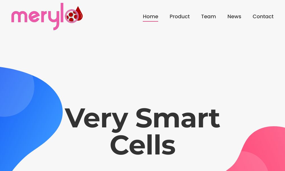 - Startupeasy