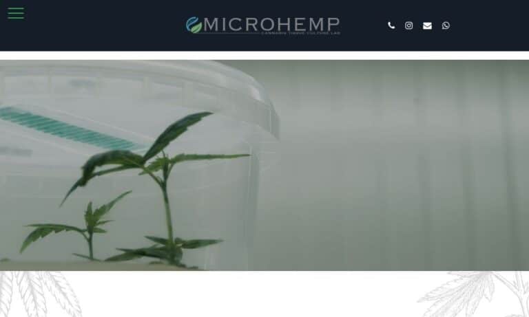 - Startupeasy