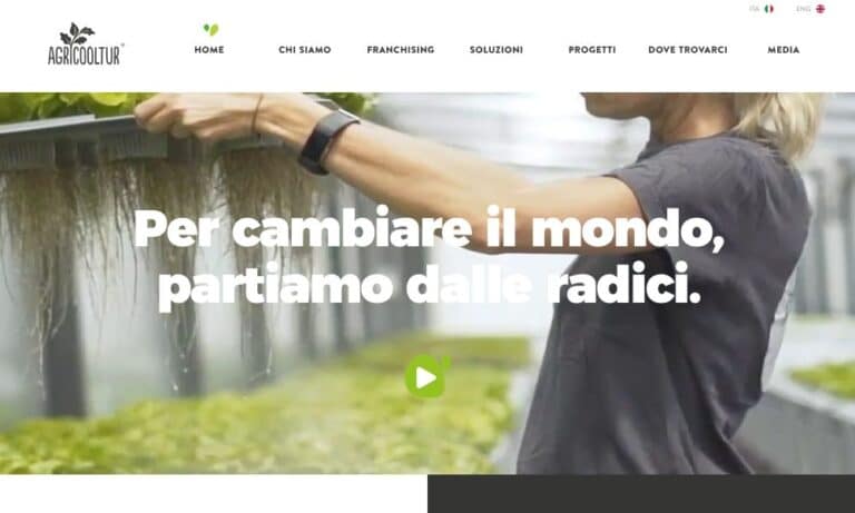 - Startupeasy