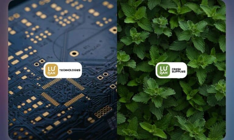 - Startupeasy