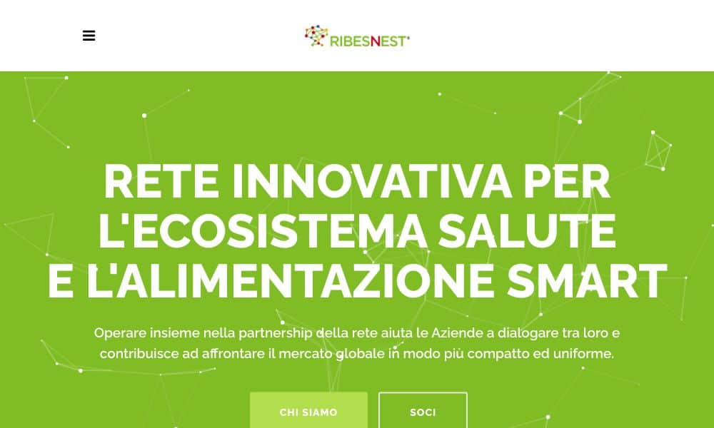- Startupeasy