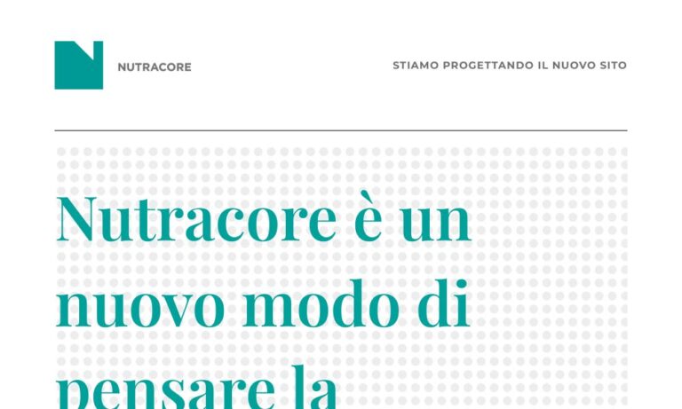 - Startupeasy
