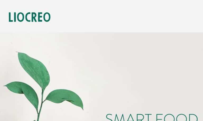 - Startupeasy