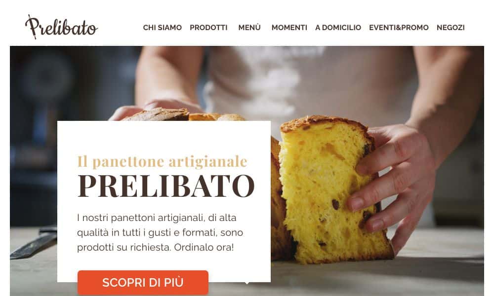 - Startupeasy