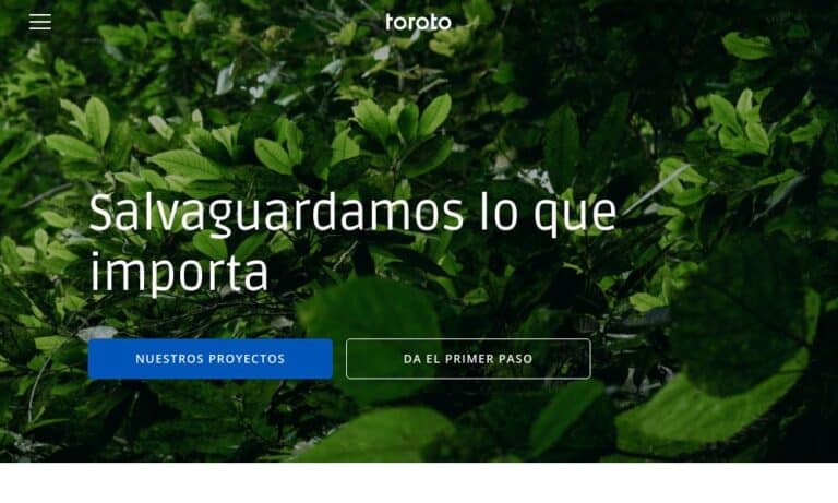 - Startupeasy